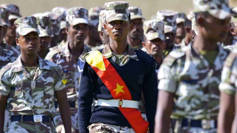 TDF - Tigray Defence Forces