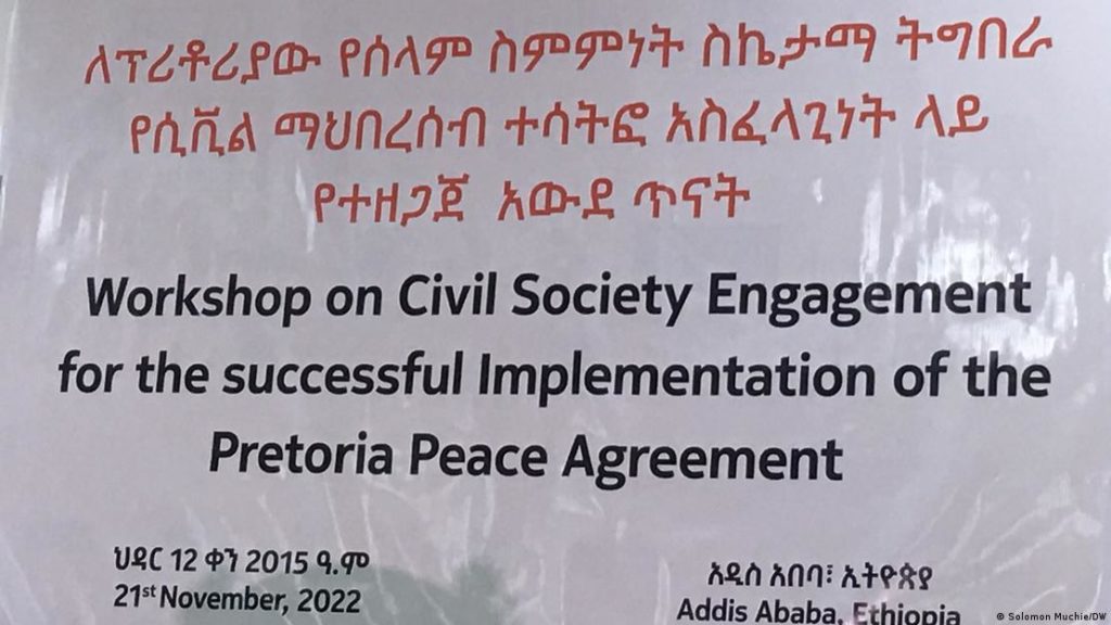 Il Consiglio delle organizzazioni della società civile dell'Etiopia ha chiesto la piena attuazione dell'accordo di pace