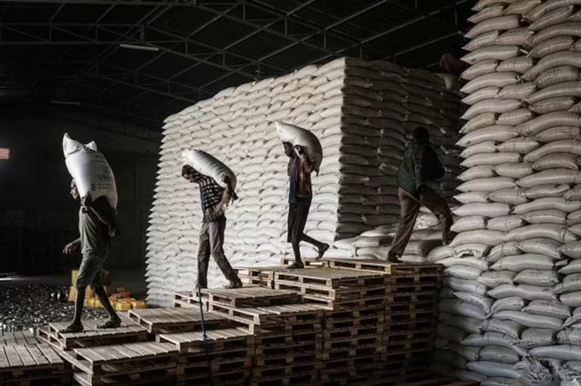 Il WFP inizia la "distribuzione di prova" di aiuti alimentari al Tigray in Etiopia