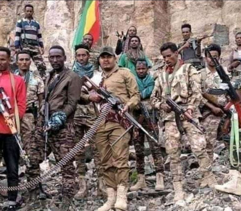 Fano, the Deadly Variant of Amhara Politics: The Babied Terrorists.